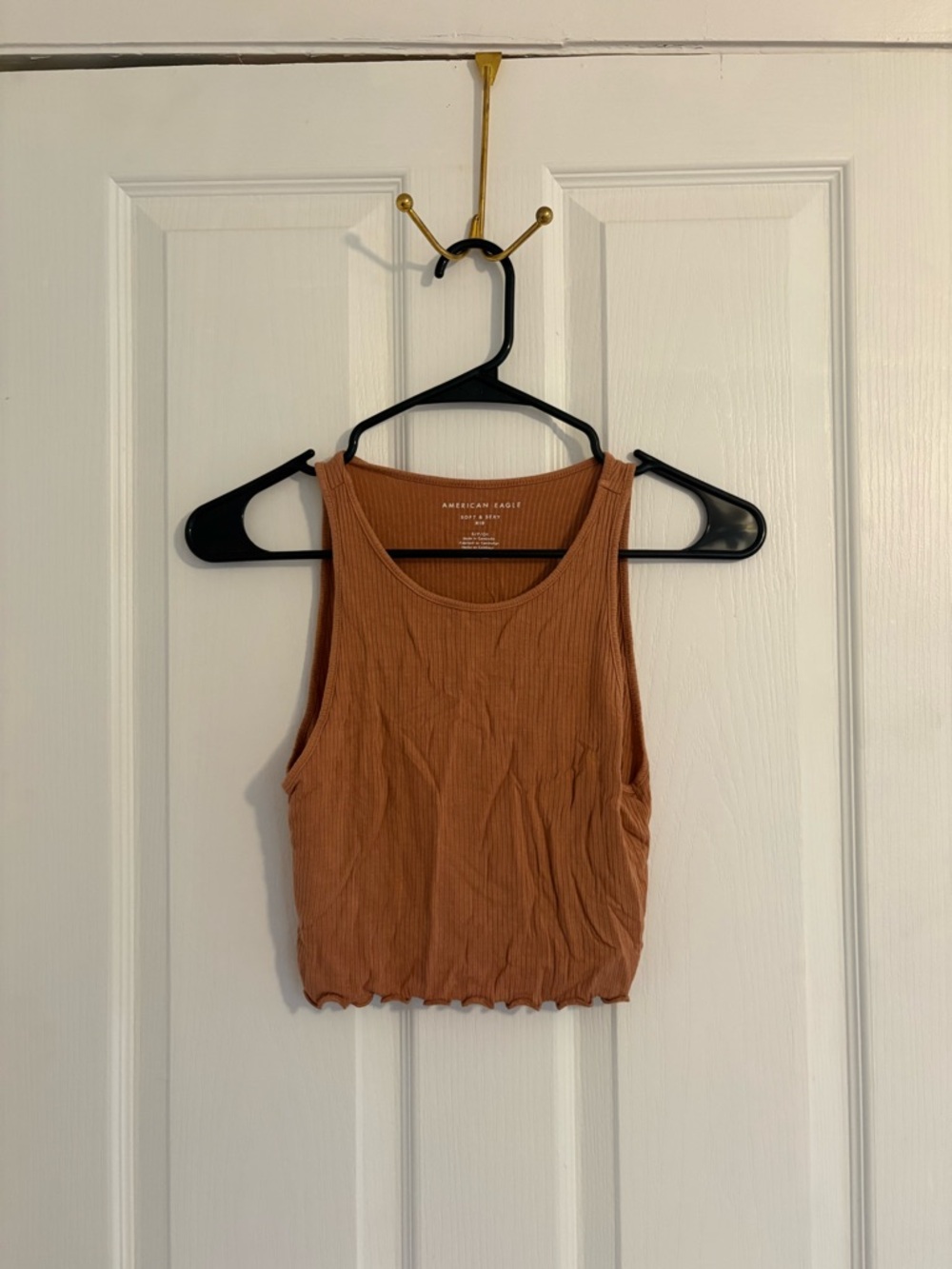 American Eagle Outfitters Rusty Orange Ribbed Cropped Tank